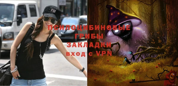 мдпв Белая Холуница