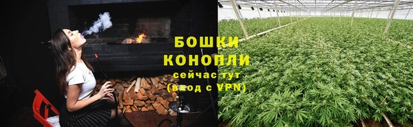 трава Бежецк